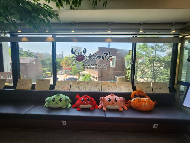 창가 벤치에 놓인 게 인형들과, 손님들이 남기고 간 메시지 카드가 줄지어 붙은 창문